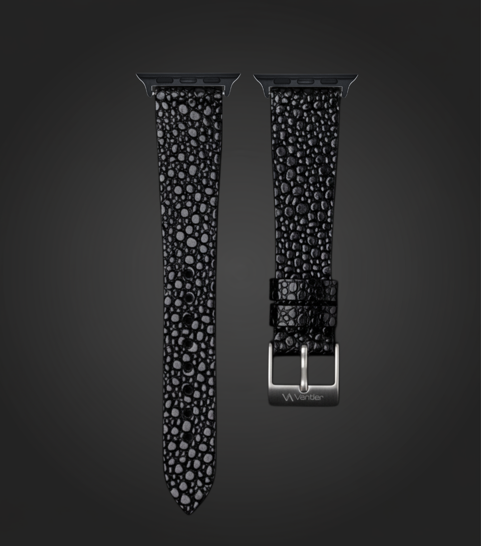 أوبسيديان راي