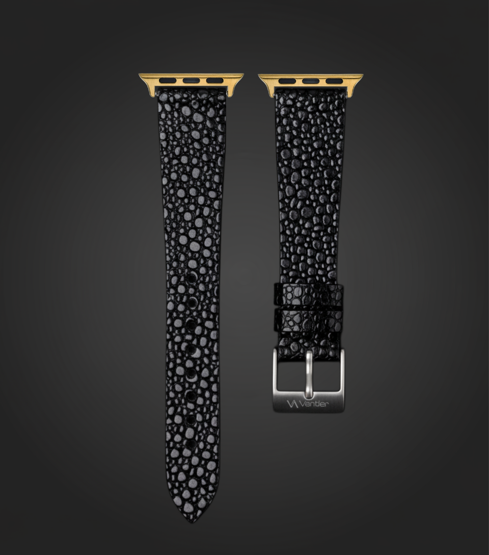 أوبسيديان راي