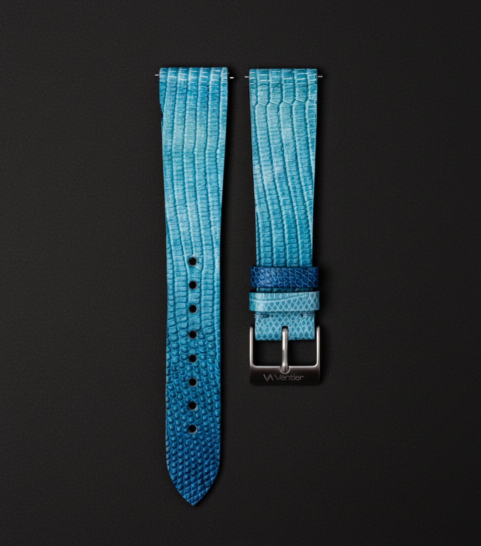 Azure Gradient Lizard